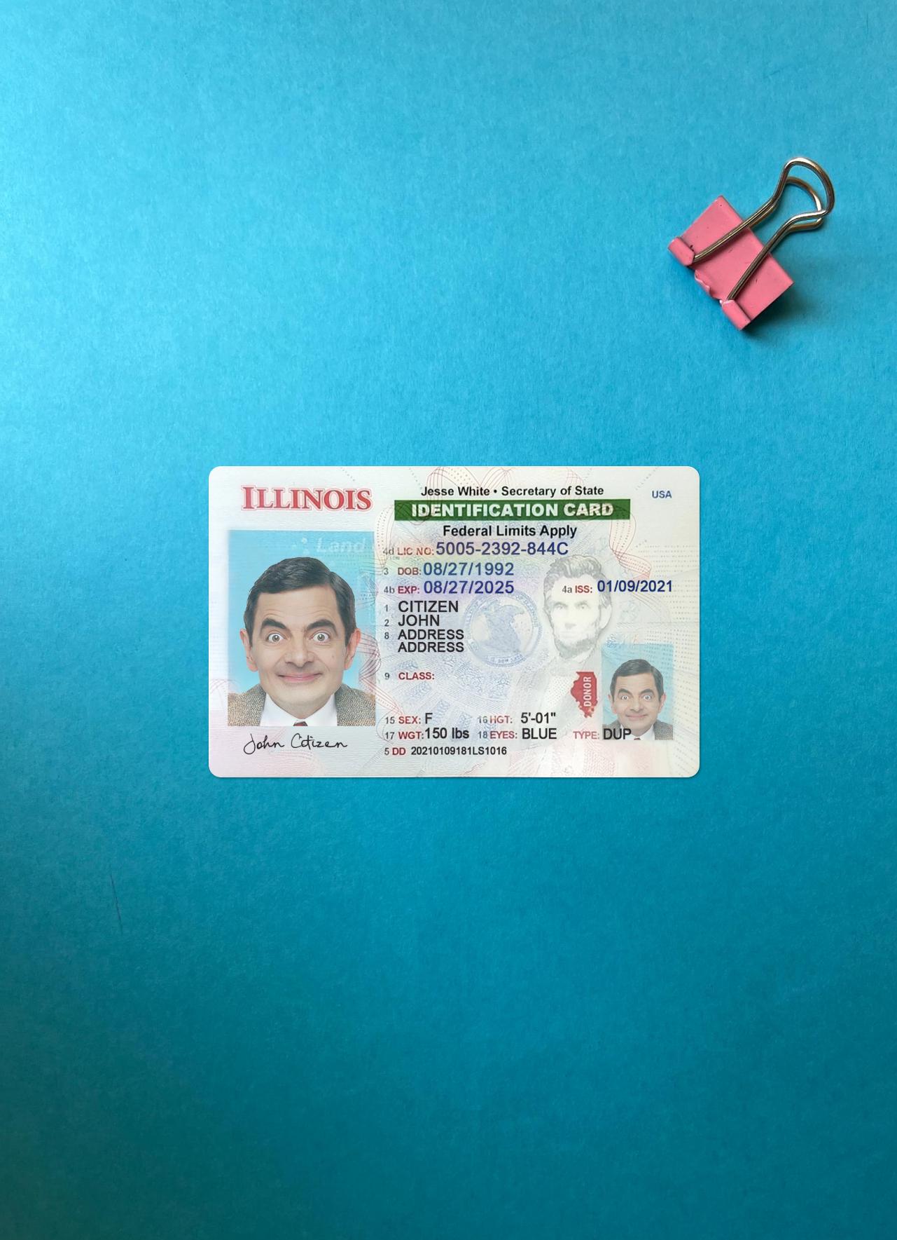Blank USA Illinois ID card photolook real example